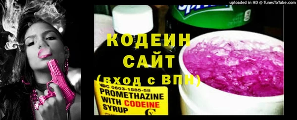 крисы Абаза