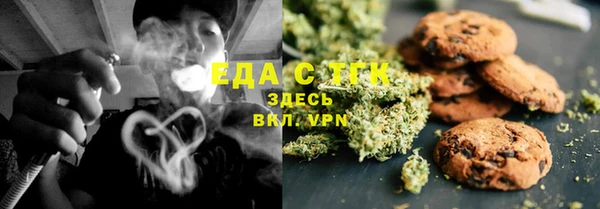 крисы Абаза