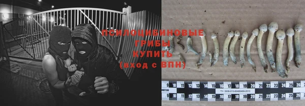 хмурый Мегион
