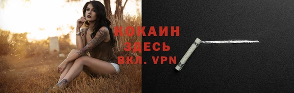 мдпв Медвежьегорск