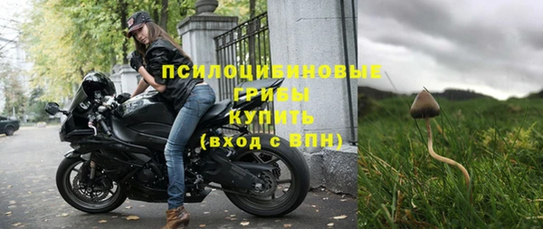 хмурый Мегион