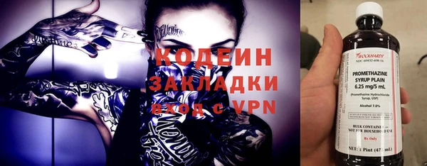 крисы Абаза